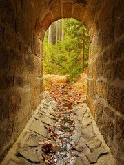Empty drainage channel in tunnel, forest outside. Stony walls