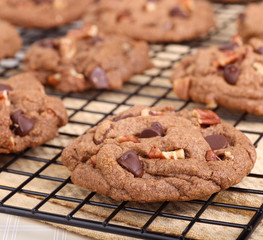 Chocolate Chip Cookies Closeup