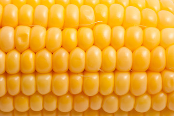 Corn