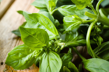 Fresh basil leaves