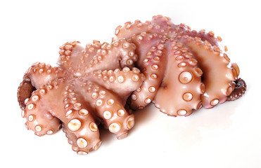 Pulpos cocidos enteros