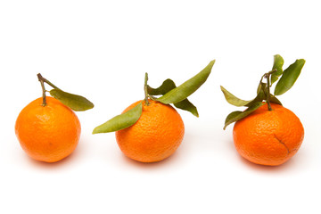 Clementine's isolated on a white studio background.