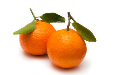 Clementine's isolated on a white studio background.