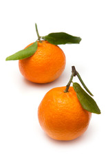 Clementine's isolated on a white studio background.