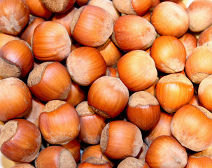 Background of the lot of hazelnut