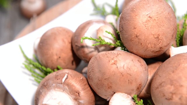 Mushrooms (loopable HD Video)