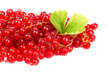 redcurrant
