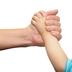 hands of father and son on a white background