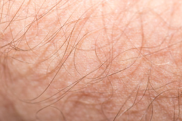 hair on the skin. macro