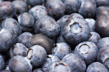 Fresh Bilberries Close Up Details