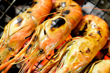Grilled prawns