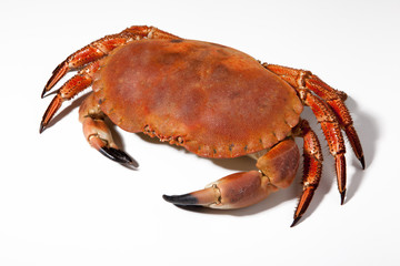 CRABE