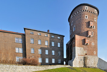 Wawel Royal Castle -Stitched Panorama - obrazy, fototapety, plakaty
