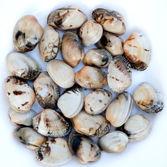 Delicious clams prepared for cooking