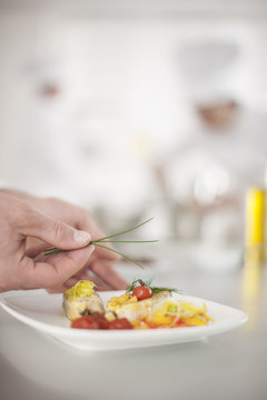 closeup on chef's hands garnishing a plate