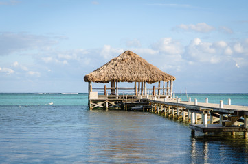 Beach Deck with Palapa floating in the water