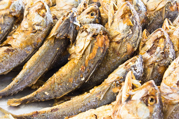 fried Mackerel fish