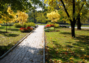 Naklejka premium Autumn