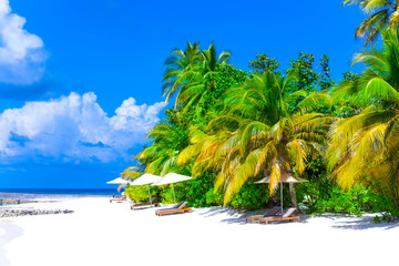 Holiday Paradise