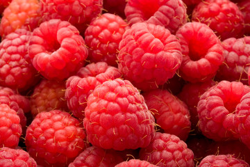 Raspberries