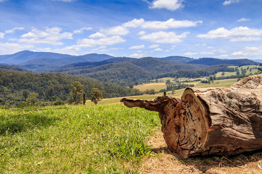 Little Charli's Lookout
