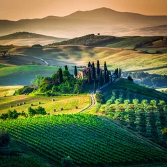 Foto op Canvas Toscaanse land © ronnybas
