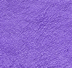 violet leather texture closeup.