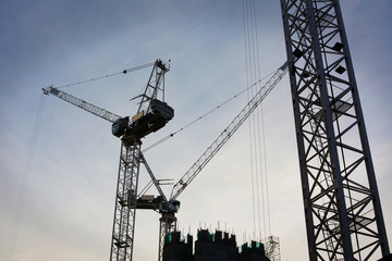 London Cranes