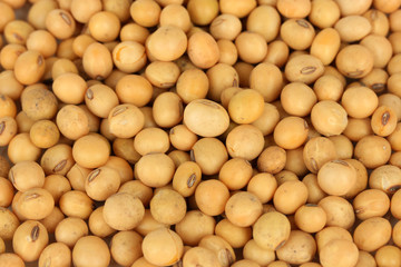Soy beans close-up