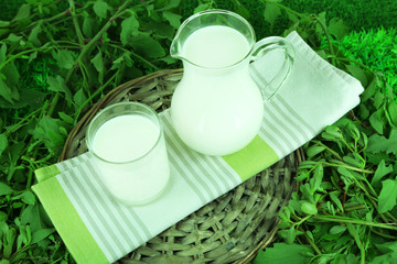 Pitcher and glass of milk on napkin on wicker tray on grass