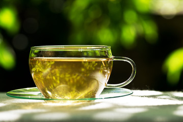 tea with herbaceous plant