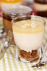 Convenience Food – Fertigdessert Lemon