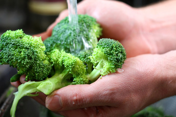 Man's Hands Washing Broccoli Vegetables in Kitchen Sink