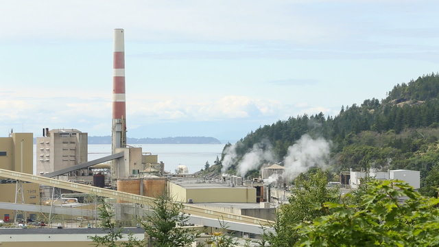 Pulp Mill, Powell River BC