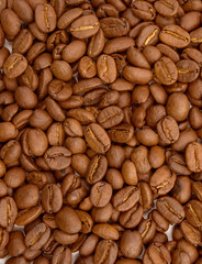coffee beans