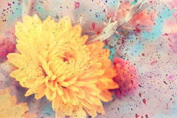 artwork with cute yellow aster's flower and watercolor splatter - 59873106