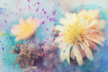 Fototapeta na wymiar artwork with small white daisy and watercolor splashes