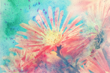 Obraz na płótnie Canvas artwork with red aster's flowers