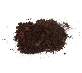 dirt isolated on white background