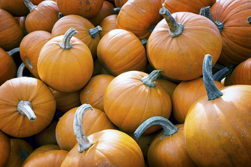 pumpkins