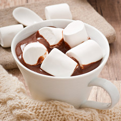 Hot chocolate with a marshmallows