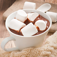 Fototapeta na wymiar Hot chocolate with a marshmallows
