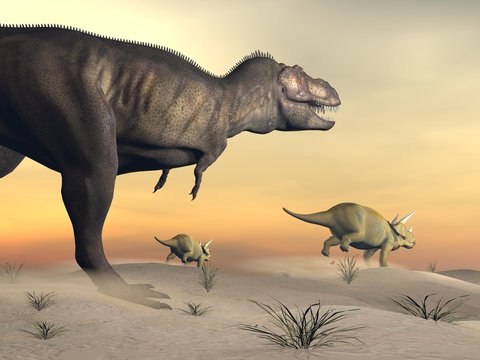 Triceratops escaping from tyrannosaurus- 3D render