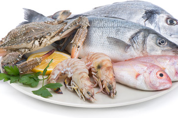 Close-up of Seafood on Plate