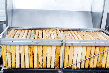 Many honeycomb trays