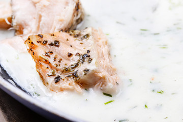 Salmon in dill sauce, closeup, selective focus