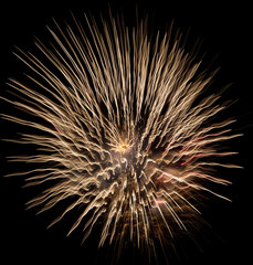 Fireworks 19