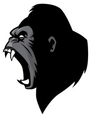 angry gorilla head © bazzier