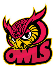 owls head mascot