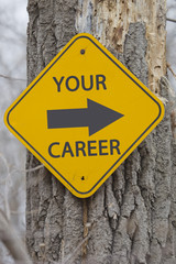 Your Career Arrow Sign on Tree
